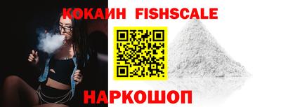 a pvp Камышлов