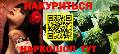 a pvp Камышлов