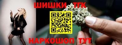 a pvp Камышлов