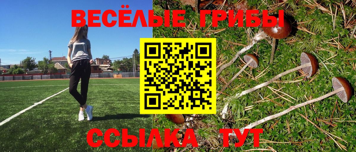 Галлюциногенные грибы GOLDEN TEACHER Кушва